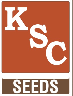 Kitchen Seeds logo