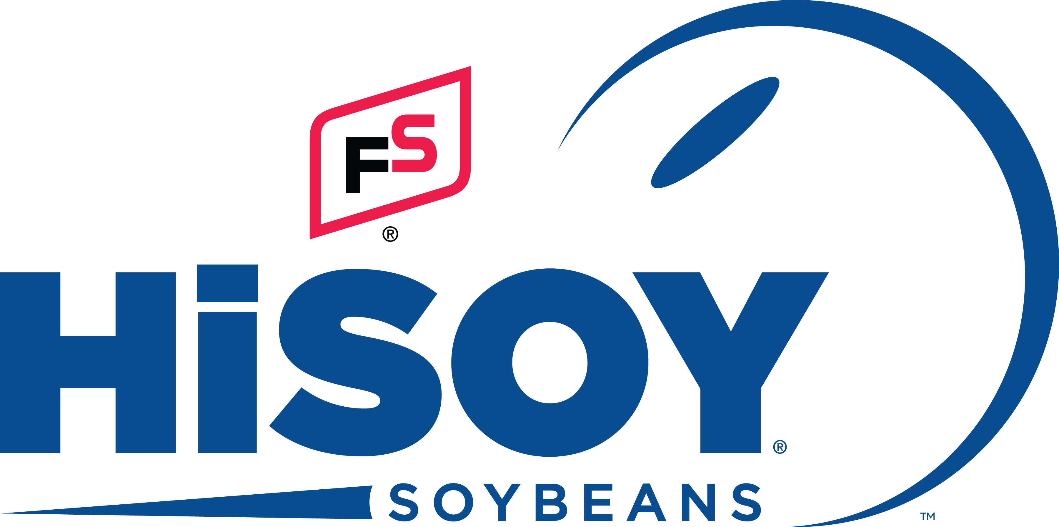 FS HiSoy logo