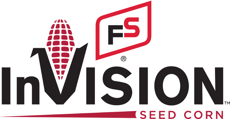 FS InVision logo
